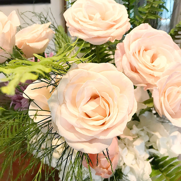 Creamy Vandela Roses! - VineLily Moments