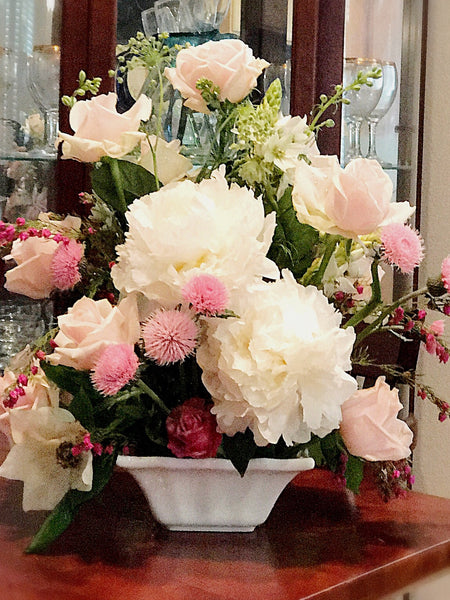 Argolva, My Darling - VineLily Moments