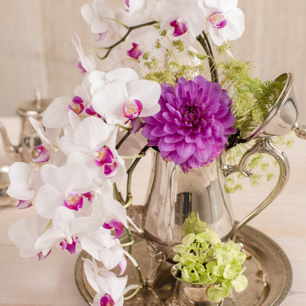 Corporate and Special Events - VineLily Moments