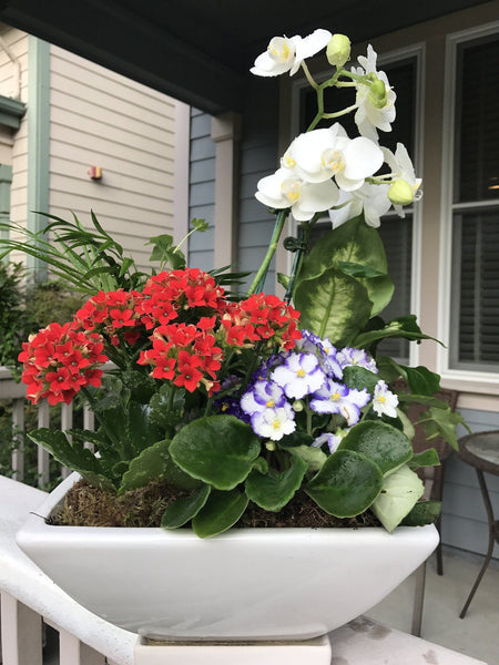Family of a Different Kind - Royal Bounty Collection - VineLily Moments