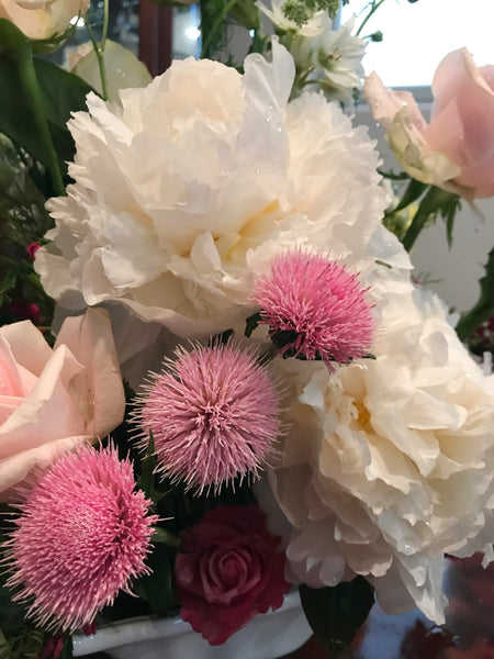 Beloved Peonies - VineLily Moments