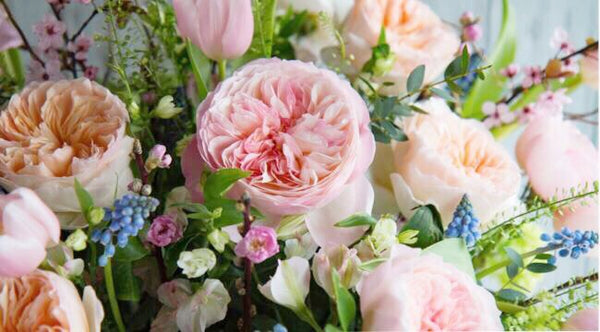 Spring Garden Roses - VineLily Moments