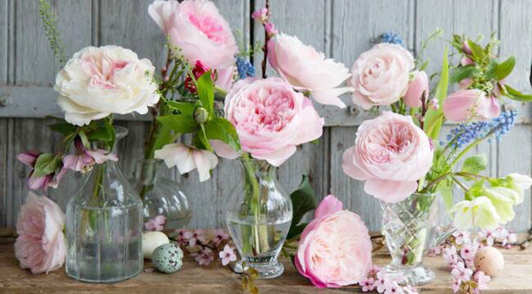 Spring Garden Roses - VineLily Moments