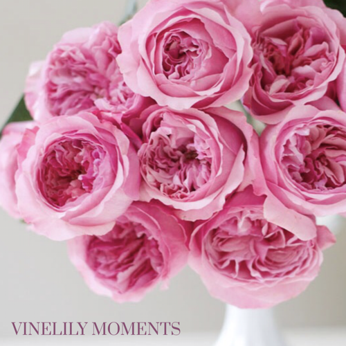 Spring Garden Roses - VineLily Moments